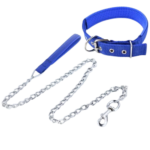 Dog Chain leash and Collar