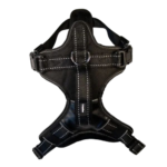 Harness