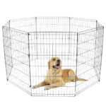 Pet Fence