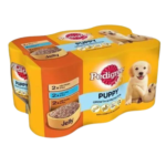Pedigree Puppy