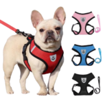 Puppy Harness and Leash