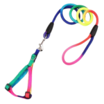 Rainbow Color Harness and Leash