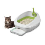 Cat Litter Box